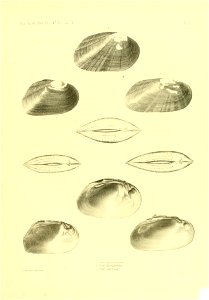 n376_w1150