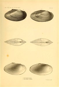 n546_w1150