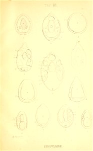 n190_w1150