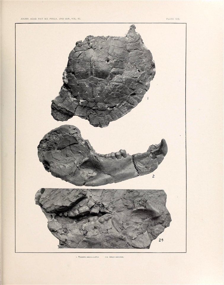 n572_w1150