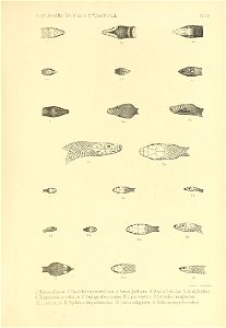 n518_w1150