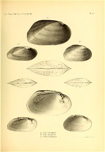n488_w1150