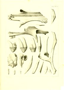 n536_w1150