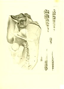 n506_w1150