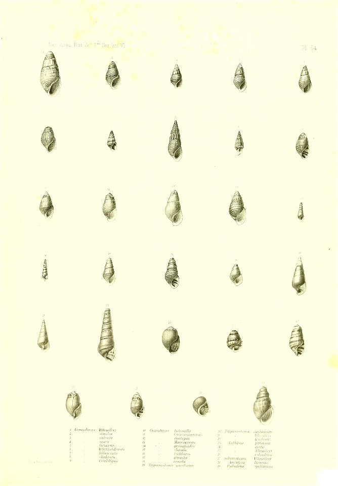 n482_w1150