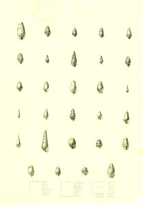 n482_w1150
