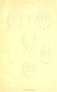 n188_w1150