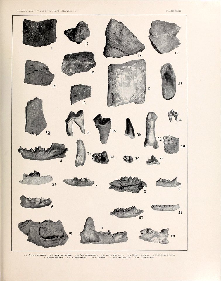 n570_w1150