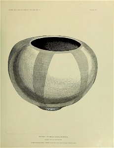 n570_w1150