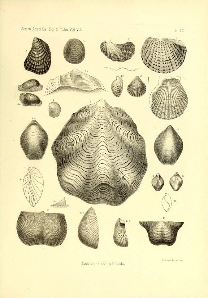 n546_w1150