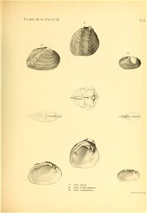 n486_w1150