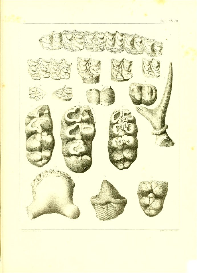 n534_w1150
