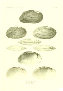 n462_w1150