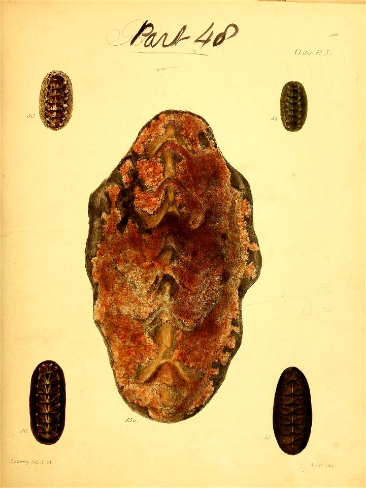 n112_w1150