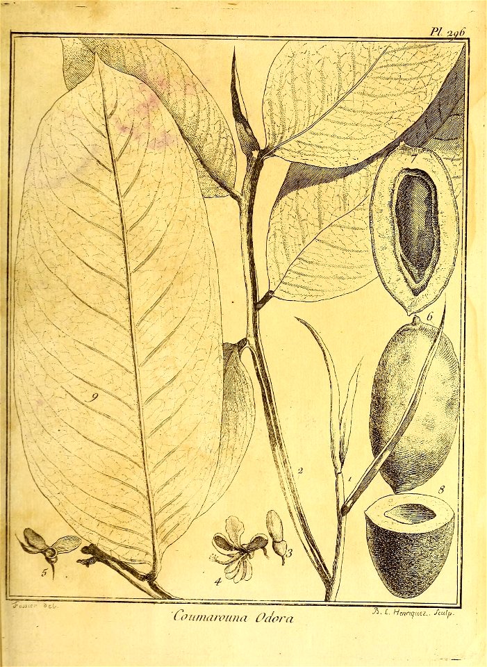 n216_w1150