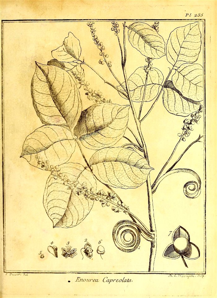 n94_w1150