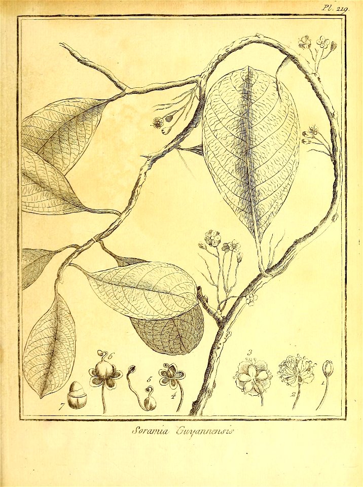 n62_w1150