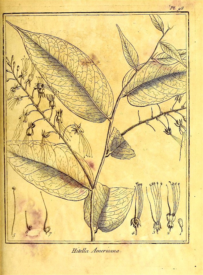 n206_w1150