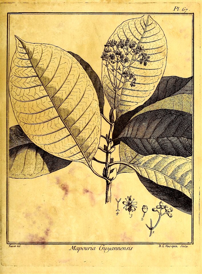 n144_w1150