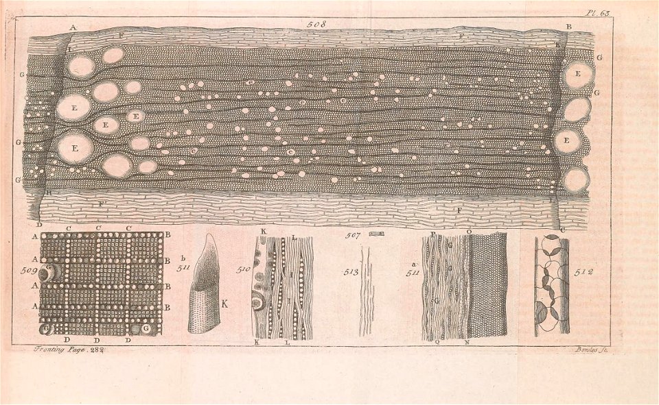n502_w1150
