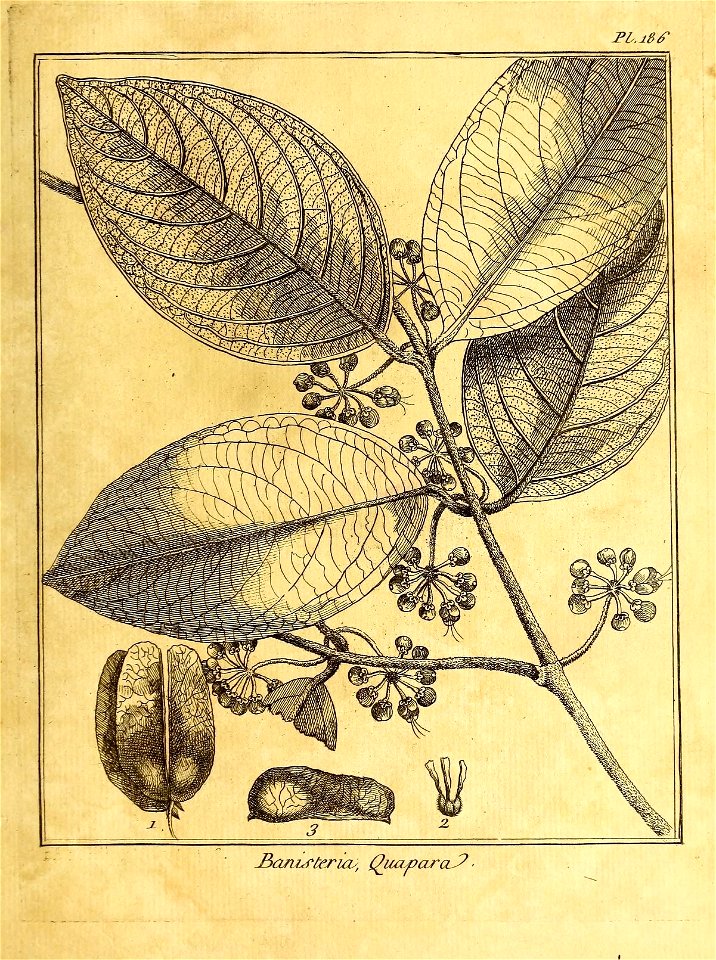 n382_w1150