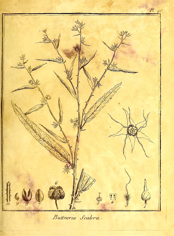 n202_w1150