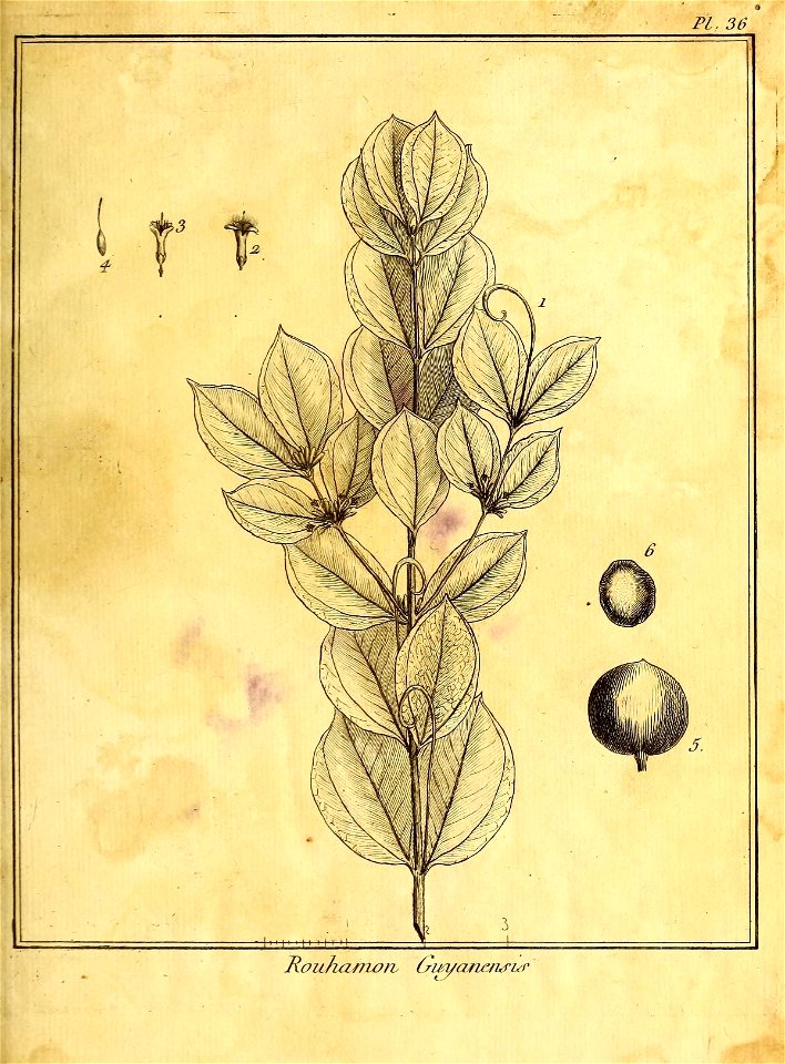 n82_w1150