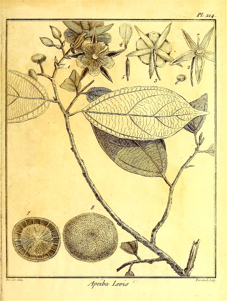 n52_w1150