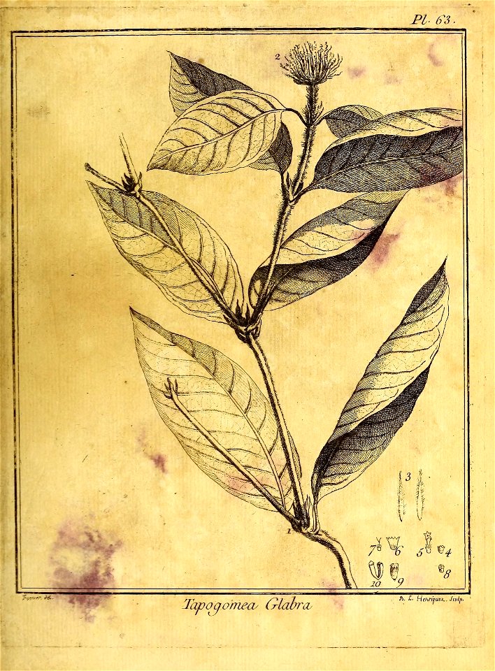 n136_w1150