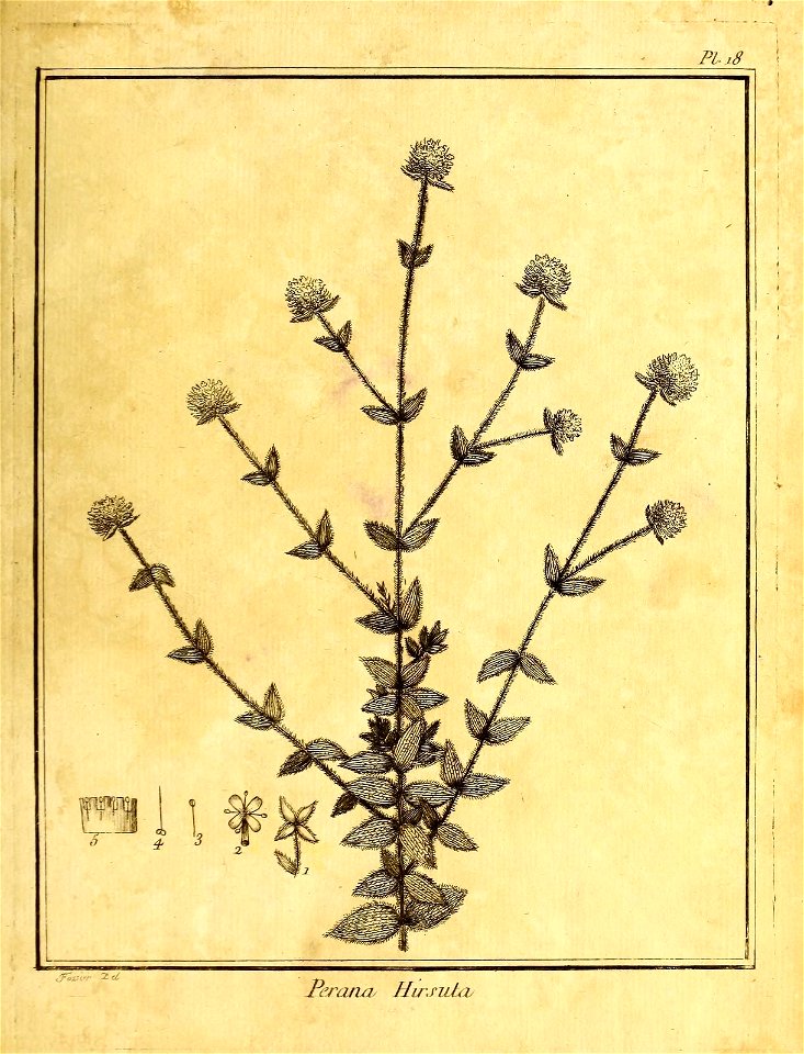 n46_w1150