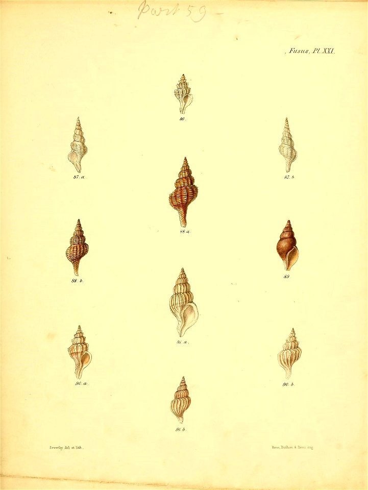 n564_w1150