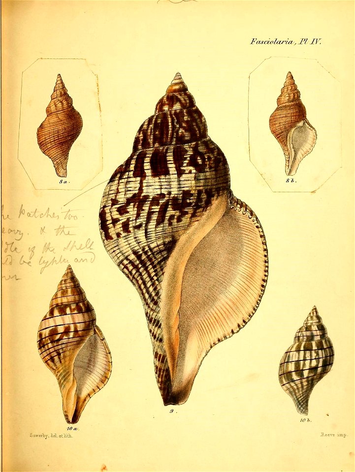 n422_w1150