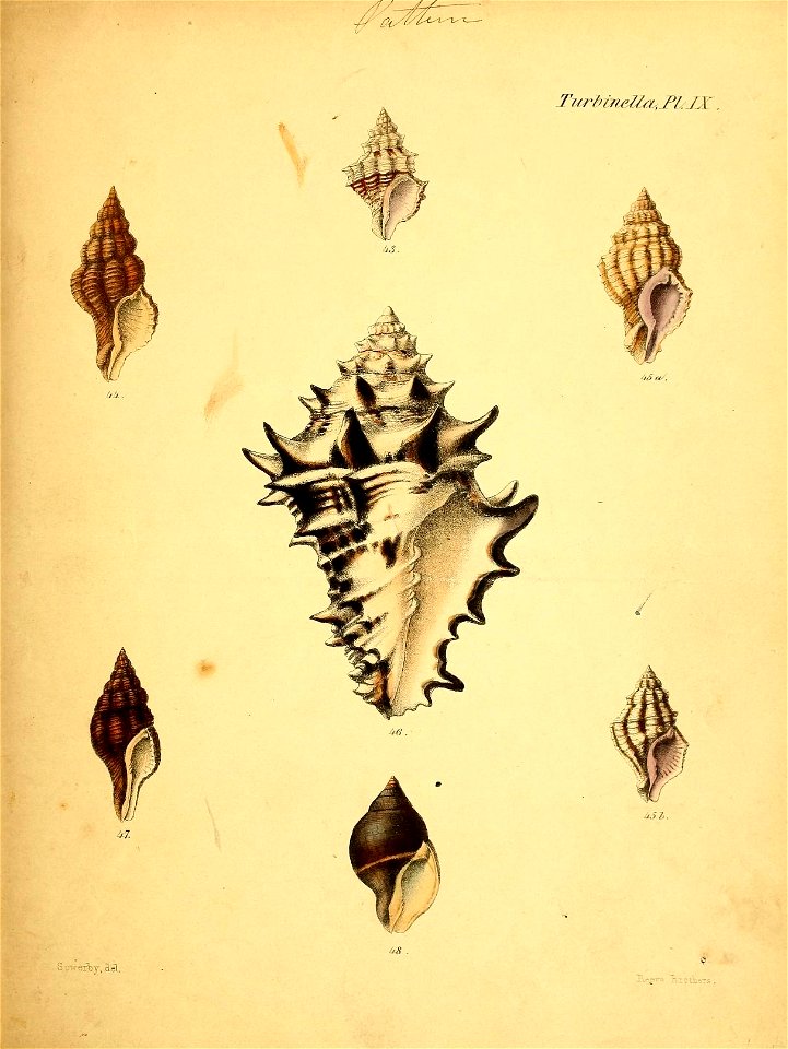n372_w1150