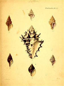 n372_w1150