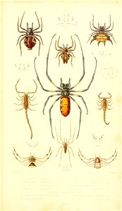 n502_w1150