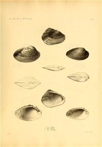 n438_w1150