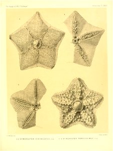n342_w1150