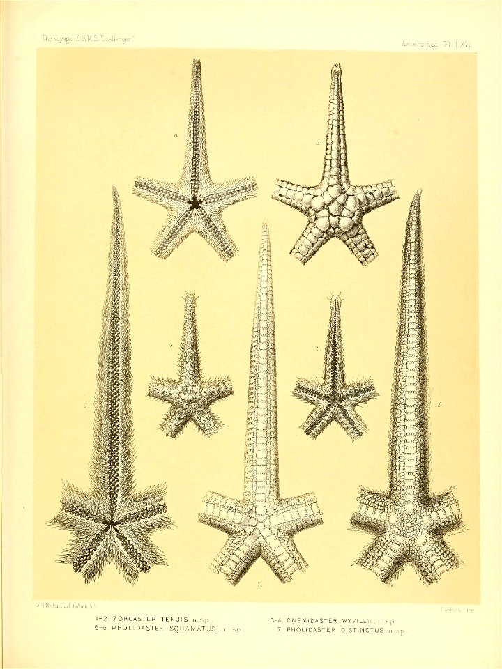 n282_w1150
