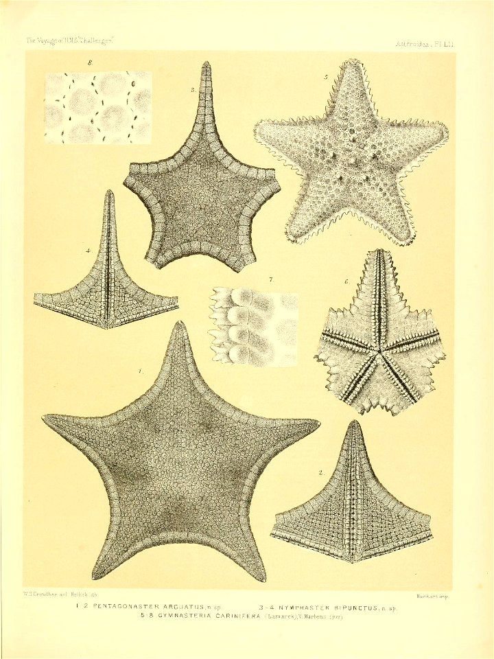 n222_w1150