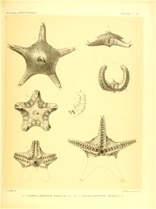 n102_w1150