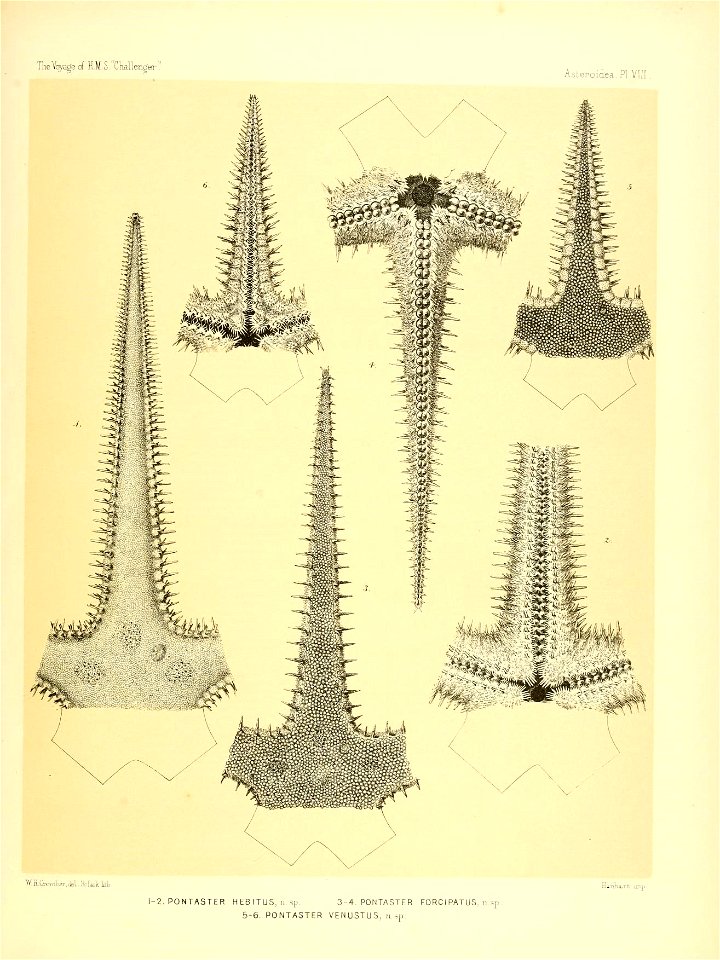 n42_w1150