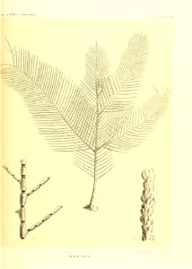 n430_w1150