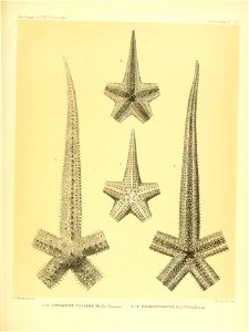 n278_w1150