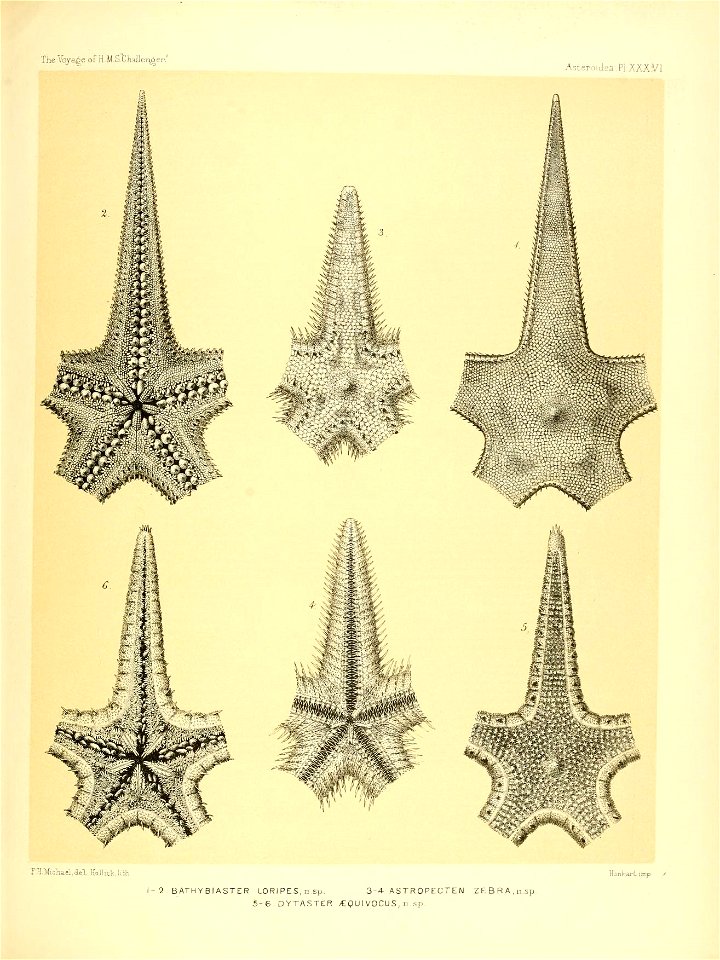 n158_w1150