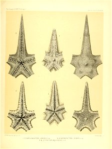 n158_w1150