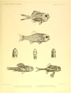 n438_w1150