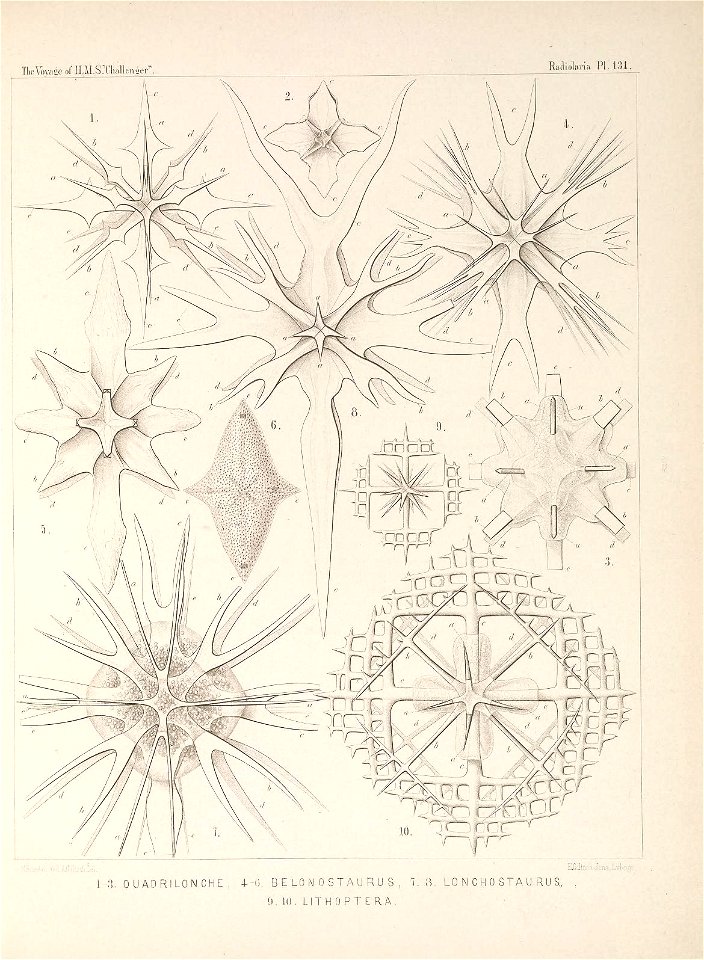 n536_w1150