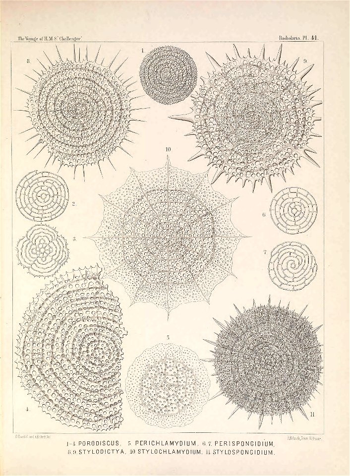 n176_w1150