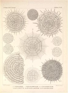 n176_w1150