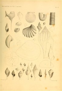 n516_w1150